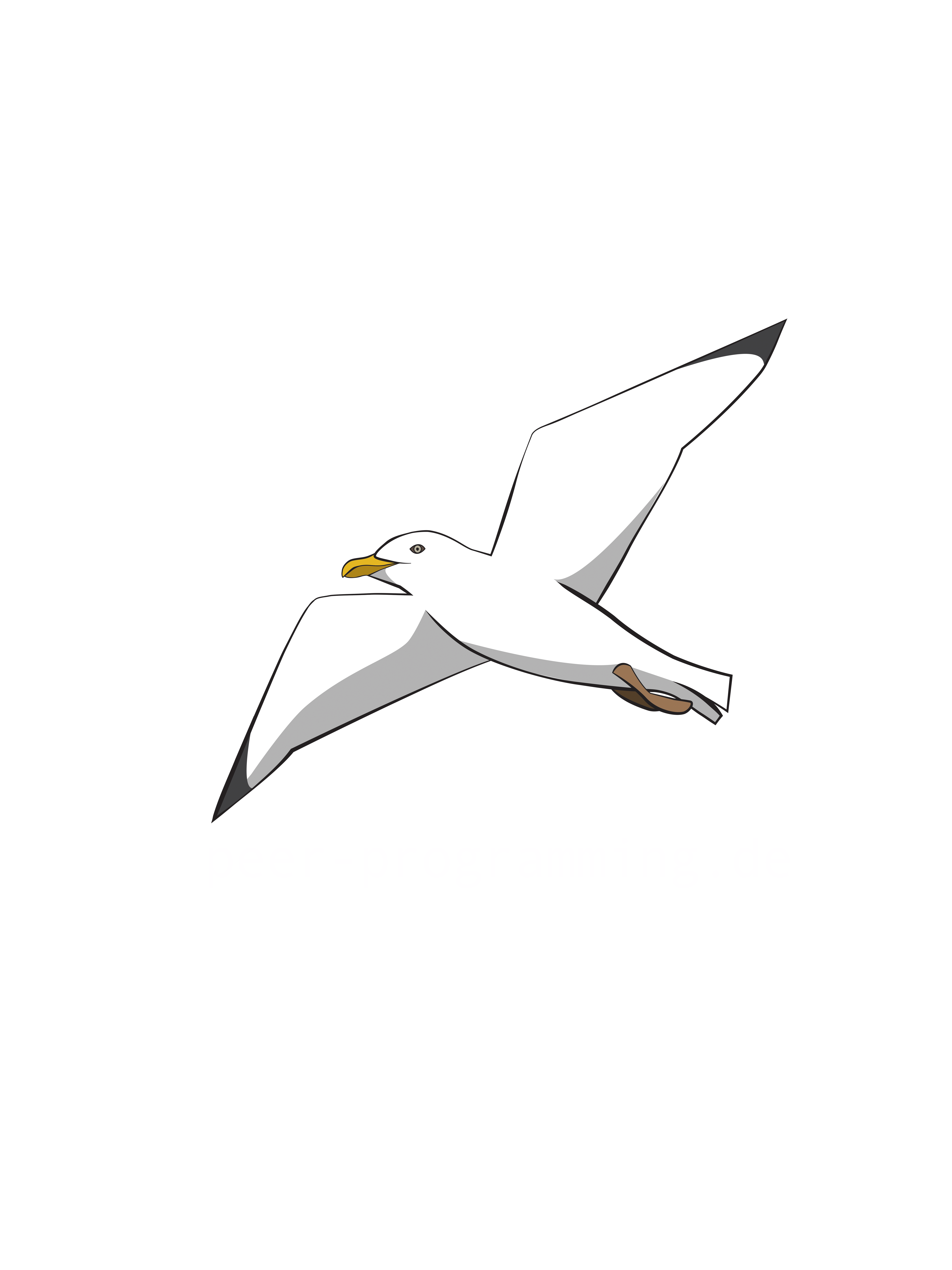 Peer Programming Logo